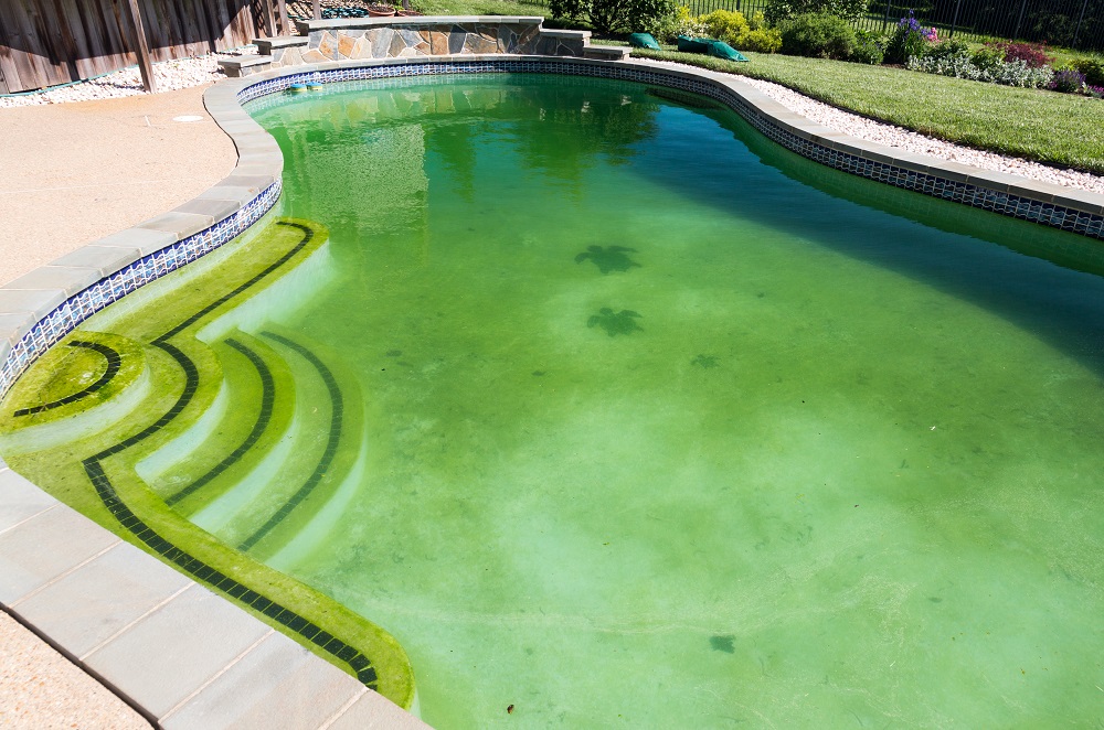 piscina de agua verde