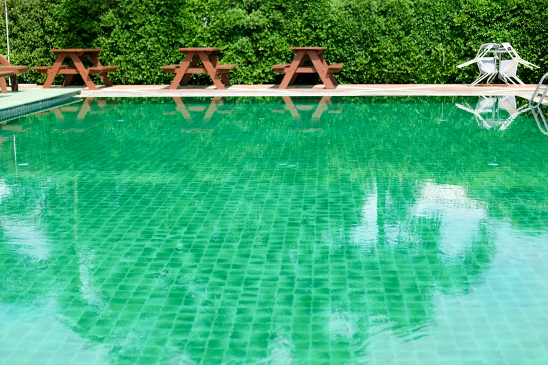 piscina de água verde